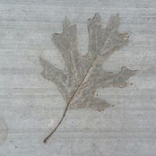 Cassandra Bryant's photo