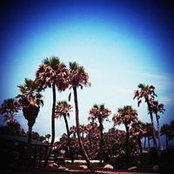 Laura Beckmanns foto