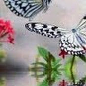 Tara Heise's photo