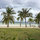 luchi_stephens