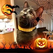 Ann Edgecomb's photo