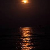 Sebastian Enache's photo