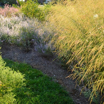 Complete New Planting Design in Towson, MD