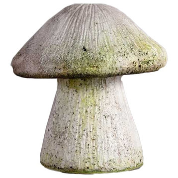 Wild Mushroom 10, Display