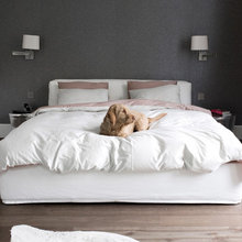 Spare Bedroom
