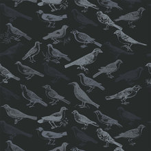 Wallpaper