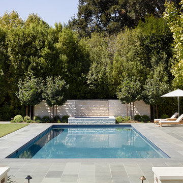 Pool and Water Feature
