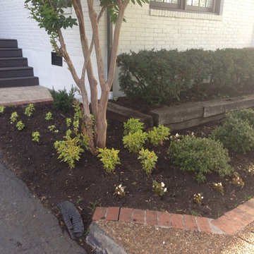 Summer Curb Appeal