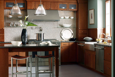 Kitchen - transitional kitchen idea in St Louis
