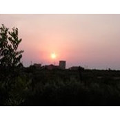Μπέσσυ Πλακούλαs foto