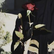 Salwa Sleiman's photo