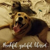 Dana Mondragon's photo