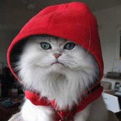 Foto von Lemona Lin