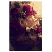 Fatima Saad's photo