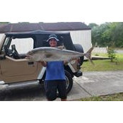 Boyd Andersen's photo