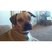 Carrie Hensel's photo