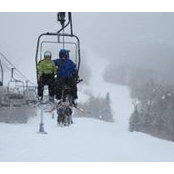 Andrew Helming's photo