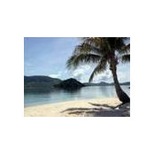 Ann McLaughlin's photo