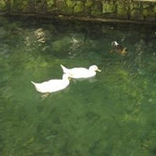 Samar Salman's photo