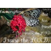 Leslie Ivey's photo