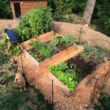 Overhead view of edible garden