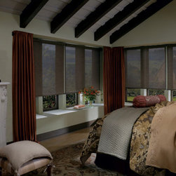 Designer Screen Roller  Shades - Products