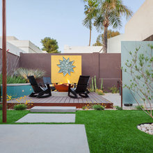 mid-century modern yard