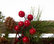 29.90"L Wooden Christmas JOY Wall Decor