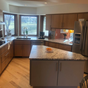 Mid Century Modern Kitchen