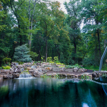 Pond Overhaul - Bedminster, NJ