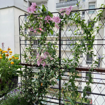 Une Terrasse cocooning à Paris