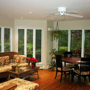 Family Room Windows