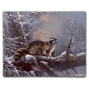 Out On a Limb-Raccoon, Classic Metal Sign