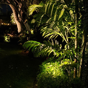Garden Santuary Landscape Renovation