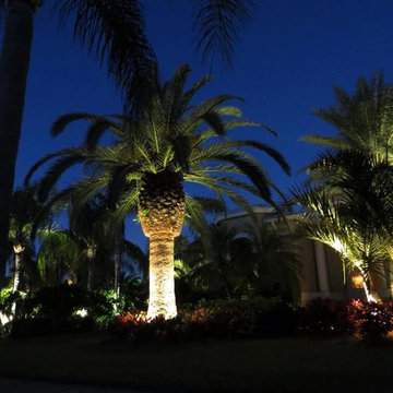 Our Lighting
