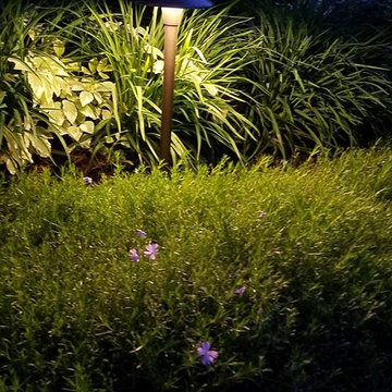 Outdoor Lighting