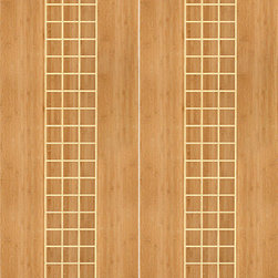 BM-1 Avanti Interior Flush Panel Inlay Modern Double Door - Interior Doors