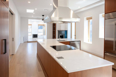 Kitchen - contemporary kitchen idea in New York
