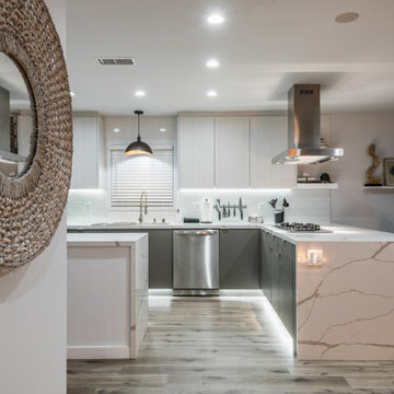 Modern Kitchen Rebirth