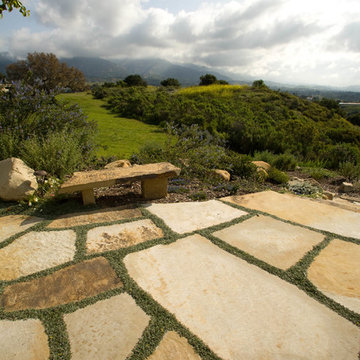 Water - Wise Garden