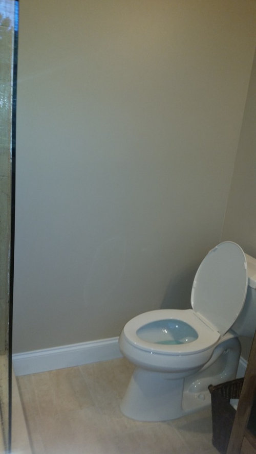 Need advice on what to put in empty spaces on walls in bathroom.
