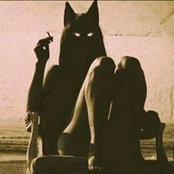 Mel Finさんの写真