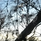 Lucie Pearson's photo
