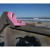 Linda Quick's photo