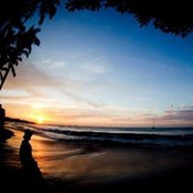 Jason Mincer's photo