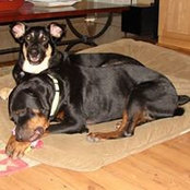 Jeff Sleder's photo