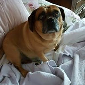 Denise Tocco's photo