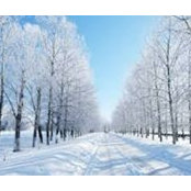 Jacalyn Buck's photo