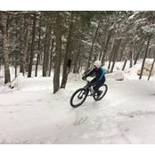 Danielle Krauel's photo