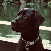 Heidi Williams's photo